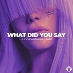 cover: Hugo Cantarra|Taim - What Did You Say