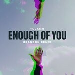 cover: Tujamo - Enough Of You (BRANDON Remix)