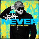 cover: Aleya Mae|Darkzy - Never