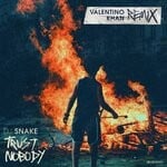 cover: Dj Snake - Trust Nobody (Valentino Khan Remix)