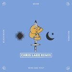 cover: Miane - Who Are You? (Chris Lake Remix)