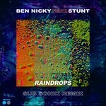 cover: Ben Nicky|Stunt - Raindrops (Sub Sonik Remix)