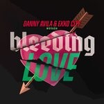 cover: Danny Avila|Ekko City - Bleeding Love (Club Mix)