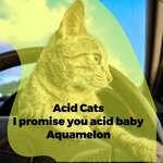 cover: Acid Cats - I Promise You Acid Baby