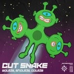 cover: Cut Snake - Woulda, Shoulda, Coulda