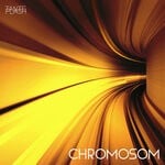 cover: Tante Flash - Chromosom