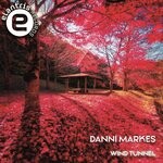 cover: Danni Markez - Wind Tunnel