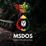 cover: Msdos - Jungle Drops 35