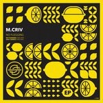 cover: M.criv - No Flegging