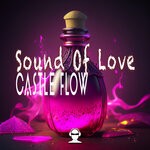 cover: Castle Flow - Sound Of Love