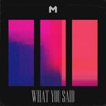 cover: Wyld Renaissance - What You Said