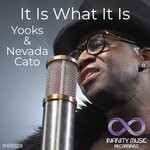 cover: Nevada Cato|Yooks - It Is What It Is