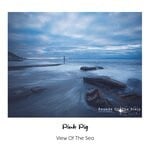 cover: Pink Pig - View Of The Sea