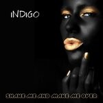 cover: Indigo - Shake Me And Make Me Over