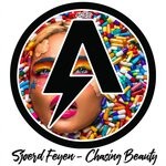 cover: Sjoerd Feyen - Chasing Beauty