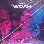 cover: Dvrkin - Woah