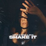 cover: 9ove|Sicke|Vzeus - Shake It