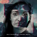 cover: Bart Vanderbuur - Secret Beats