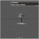 cover: Krizaliss - What Else U Want