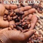 cover: Blade - Cacao