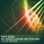 cover: House Sector - Why Now (Nu Disco House Sector Mix)