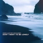 cover: Hoang|Skye Silansky|Vlcn - Don't Want To Be Lonely