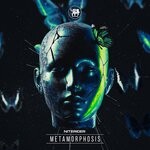 cover: Niterider - Metamorphosis