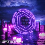 cover: Triangle Alliance - Little More Love