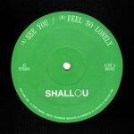 cover: Shallou - See You / Feel So Lonely