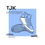 cover: Tjk - Mistery (Lesha Remixes)