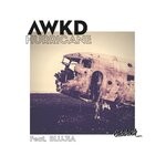 cover: Awkd|Blujia - Hurricane