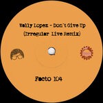 cover: Wally Lopez - Don't Give Up (Irregular Live Remix)