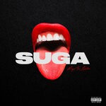 cover: Megan Thee Stallion - Suga (Explicit)