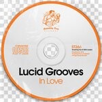 cover: Lucid Grooves - In Love