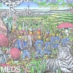 cover: Mt. Eden - MEDS EP