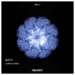 cover: Bertzi - Complex Mind