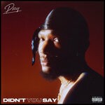 cover: Pxrry - Didn't You Say (Explicit)