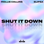 cover: Elipsa|Mollie Collins - Shut It Down (Explicit)