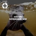 cover: Fox Cru - Somewhere New