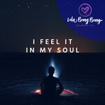 cover: DJ Hardhome - I Feel It In My Soul