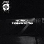 cover: Prowelly - Assumed Wrong