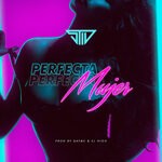 cover: Stiv - Perfecta Mujer