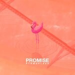 cover: Pyrmdplaza - Promise