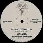 cover: Omari - After Loving You