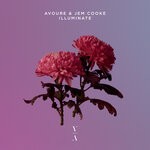 cover: Avoure|Jem Cooke - Illuminate