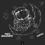 cover: Dwell Amusement - Control