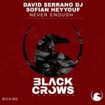 cover: David Serrano Dj|Sofian Heyyouf - Never Enough