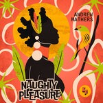 cover: Andrew Mathers - Naughty Pleasure