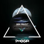 cover: Bora Project - Wrong Estimate