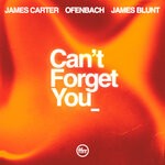 cover: James Blunt|Ofenbach|James Carter - Can't Forget You (feat. James Blunt)